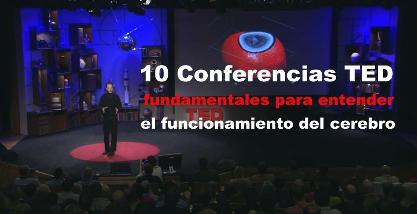 10 Conferencias TED fundamentales para entender el funcionamiento del cerebro
