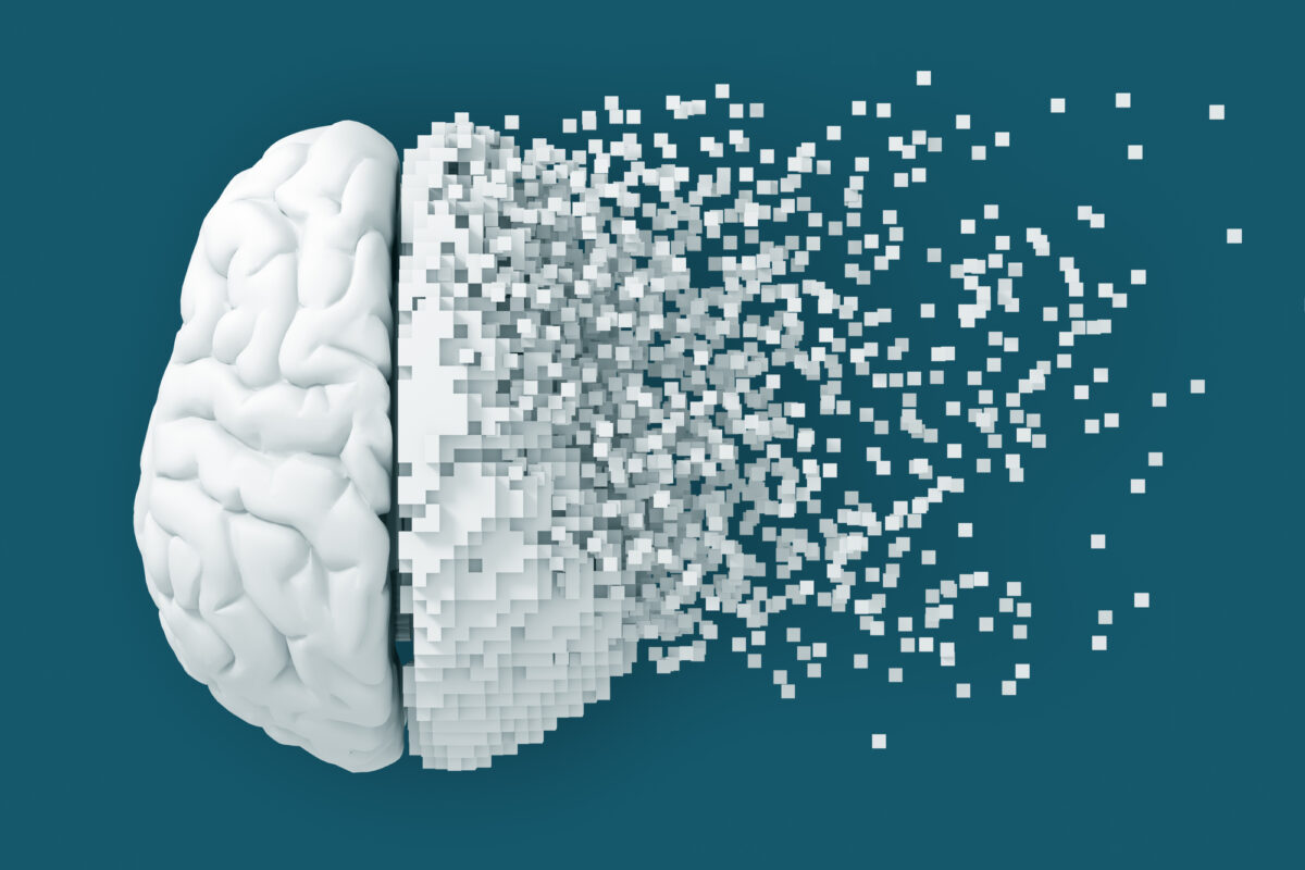 ¿Qué sucede en nuestro cerebro cuando tomamos un descanso?