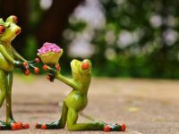 ¿Qué tipos de regalos generan más felicidad?