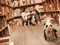 ¿Escuelas para Parejas para la prevención de la violencia?