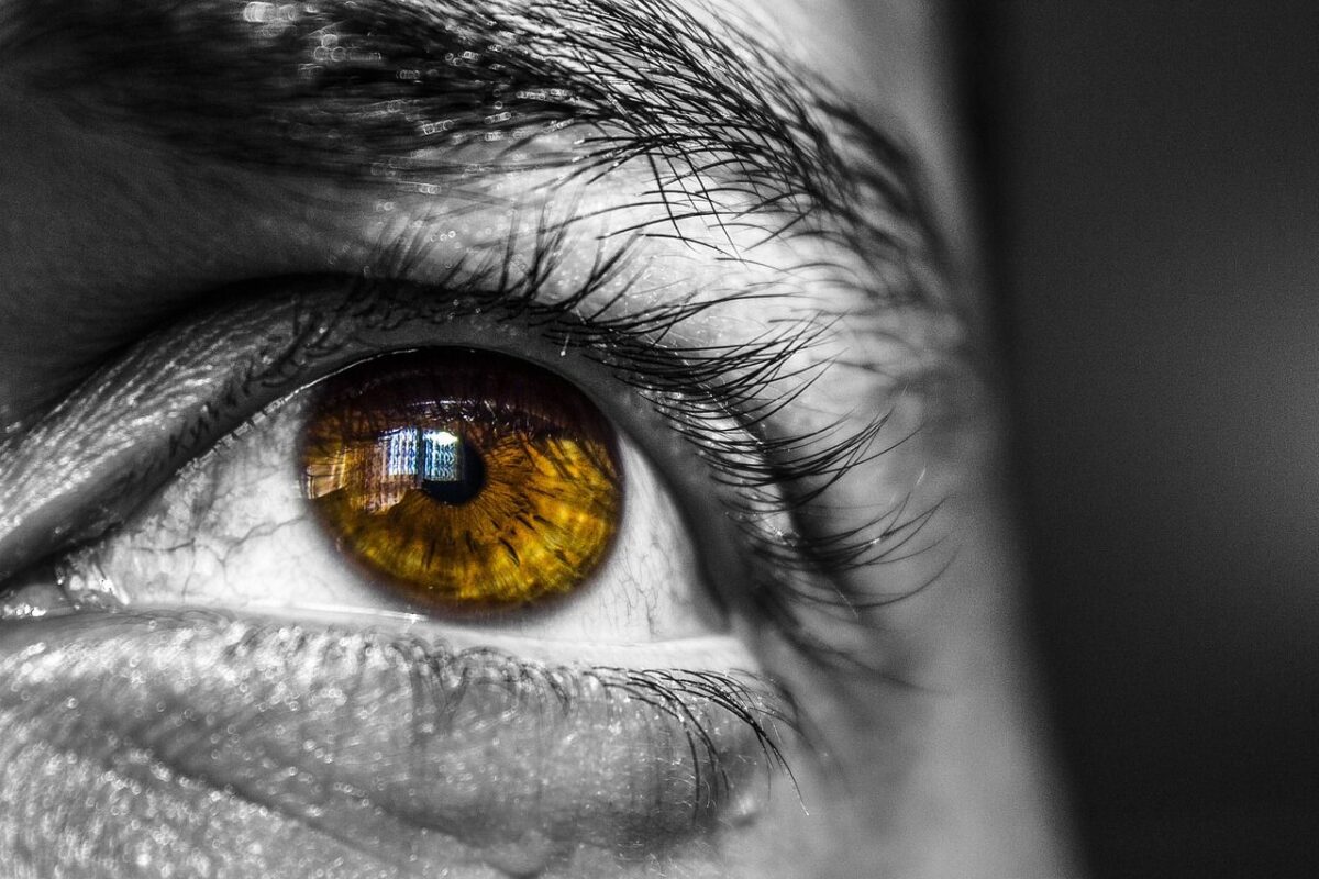 Las Neurociencias en acción: las Terapias Neurocientíficas.