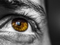 Las Neurociencias en acción: las Terapias Neurocientíficas.