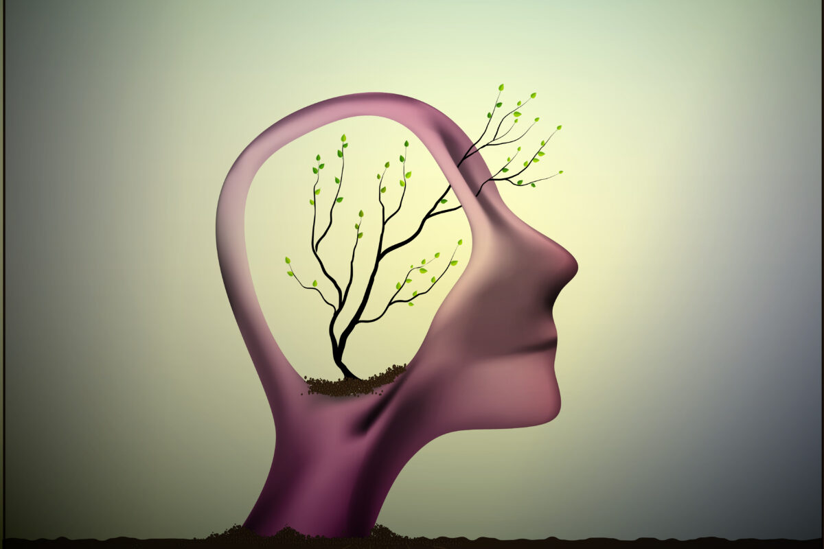 ¿Qué es un esquema en Psicología?