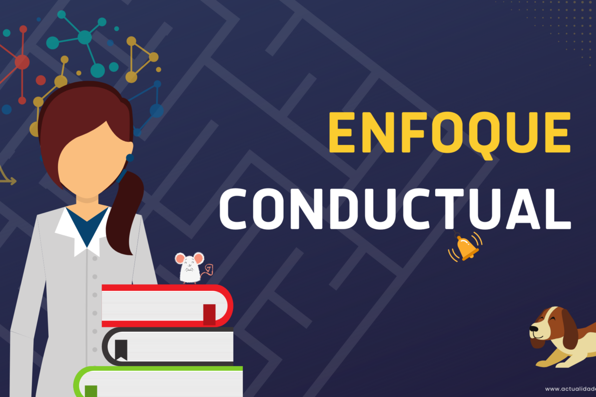 Enfoque conductual