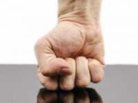 Ensayo sobre el comportamiento pasivo-autodestructivo