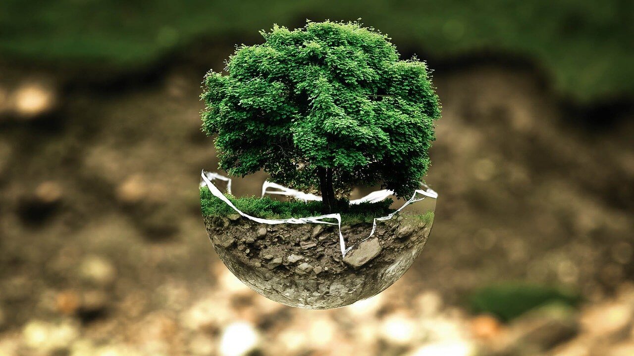 ¿Puede la psicología ayudar a salvar el medio ambiente?