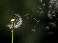 Dejar ir para avanzar