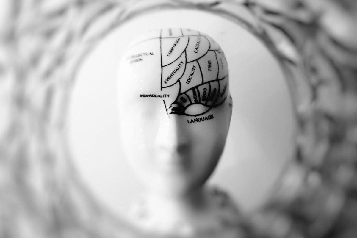 photo of head bust print artwork