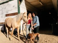 ¿Qué función tiene la psicología en la terapia asistida por animales?