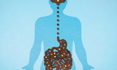 Psicobióticos: Cómo los probióticos pueden mejorar tu salud mental