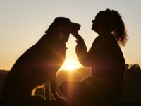 seis tipos de amor: amor a las mascotas