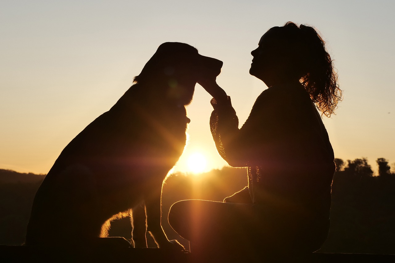 seis tipos de amor: amor a las mascotas