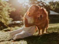 Niña abrazando a un Chow Chow adulto sentado en un campo de hierba