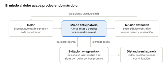 «Es normal que duela»: el mito del dolor sexual después del parto Ciclo dolor miedo evitación
