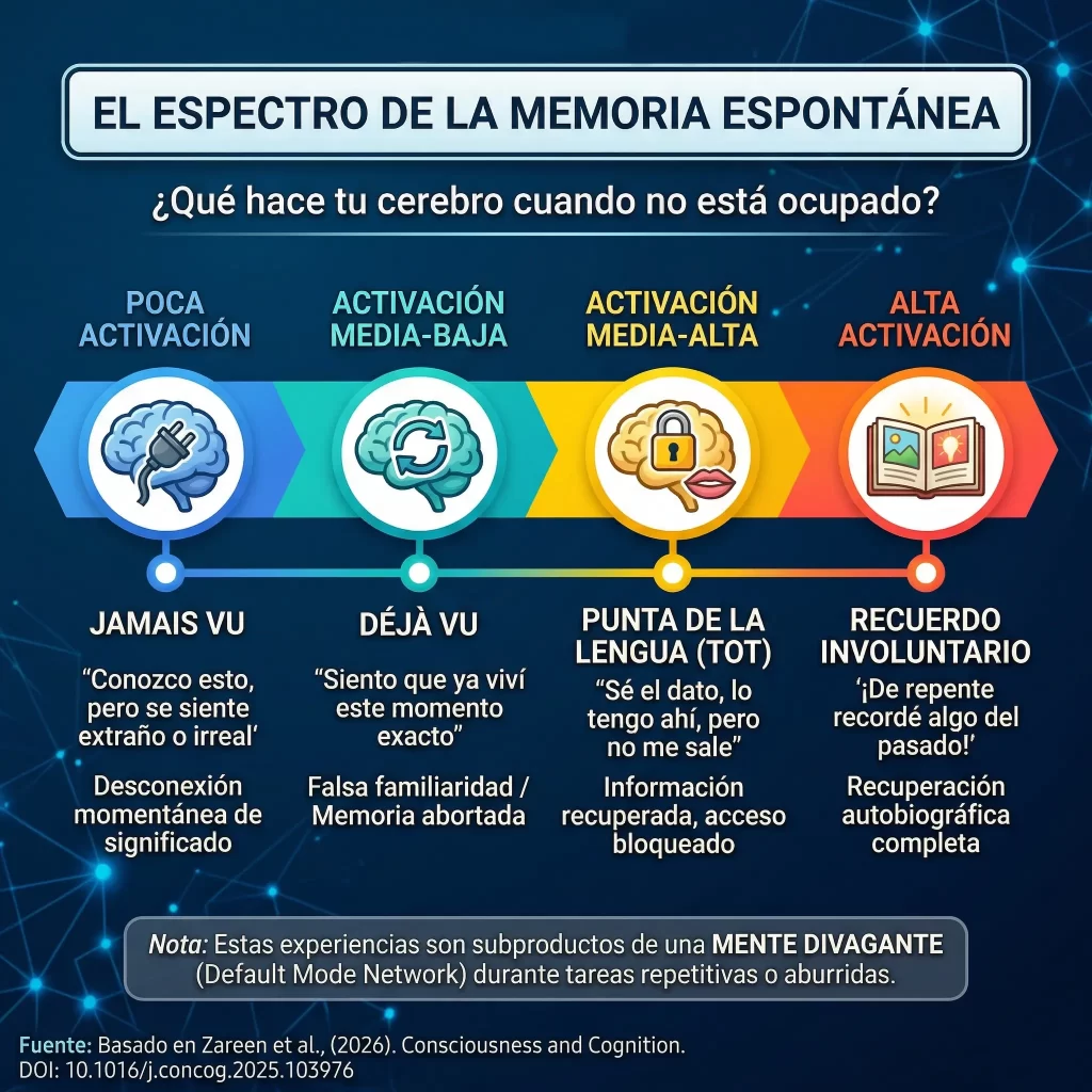 ¿Son los Déjà Vu y las memorias involuntarias fallos del sistema o procesos cognitivos naturales?