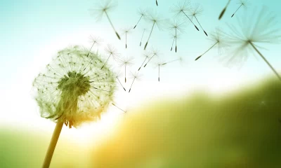 Autoeficacia y sentido de vida se asocian a mayor bienestar personal