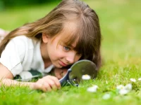 Fomentar la curiosidad infantil podría proteger la salud mental en la adultez