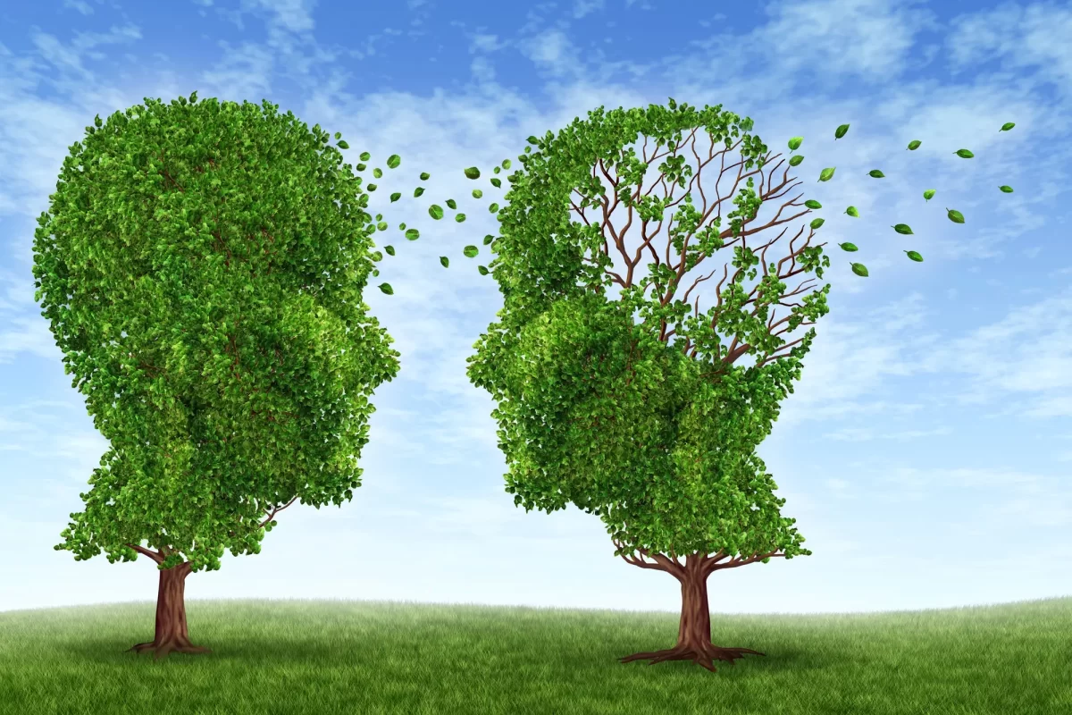 ¿Cómo influyen los microbios intestinales en trastornos como la depresión y el Alzheimer?