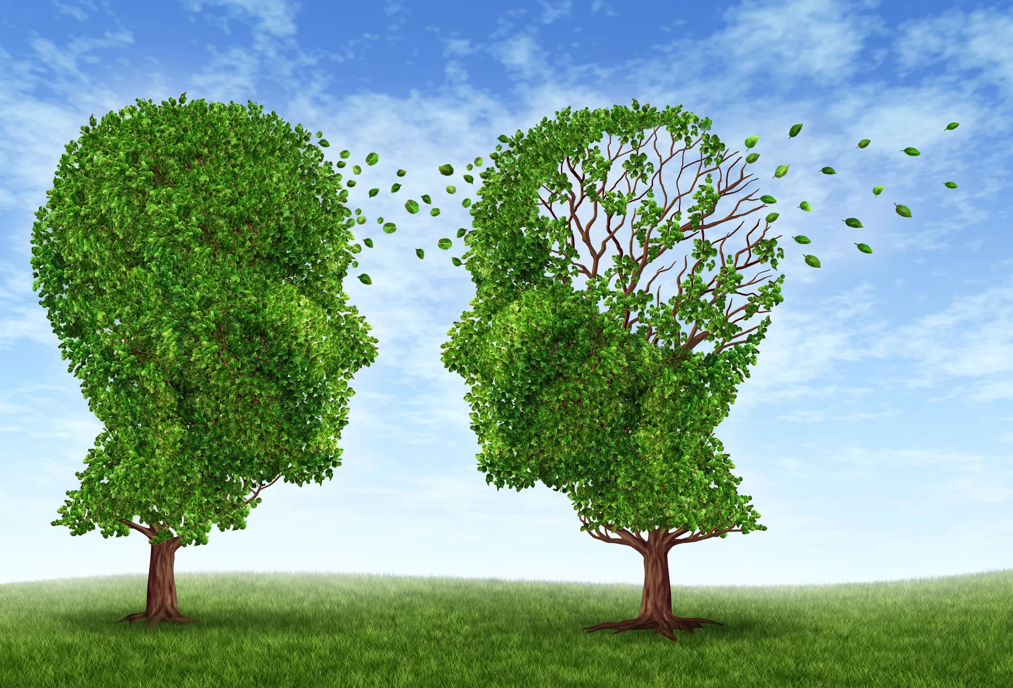 ¿Cómo influyen los microbios intestinales en trastornos como la depresión y el Alzheimer?