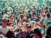 Desindividualización de la emoción y la sociedad patológica