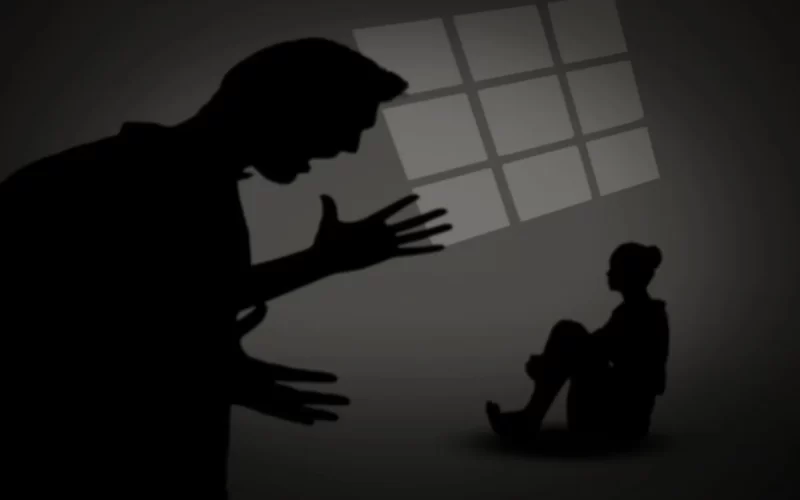 El macho que habita al hombre: la violencia nombrada como machista
