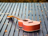 ¿Por qué la música ofrece un salvavidas emocional en tiempos de crisis?
