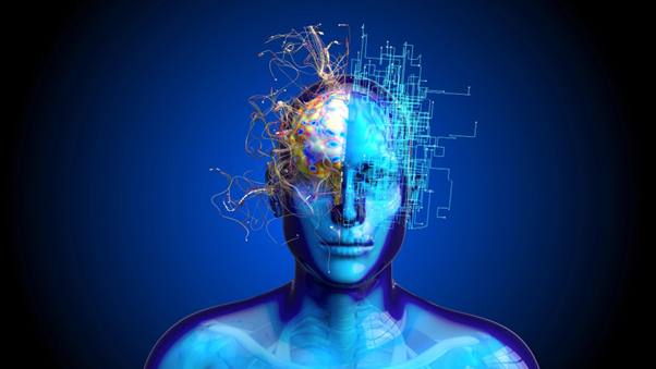 La neurociencia del aprendizaje: cómo funciona el cerebro cuando aprendemos cosas nuevas La neurociencia del aprendizaje: cómo funciona el cerebro cuando aprendemos cosas nuevas